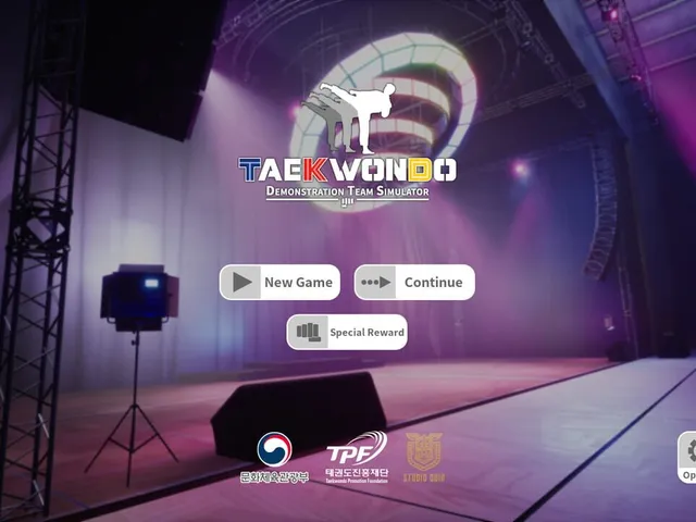 Taekwondo Demonstration Team Simulator