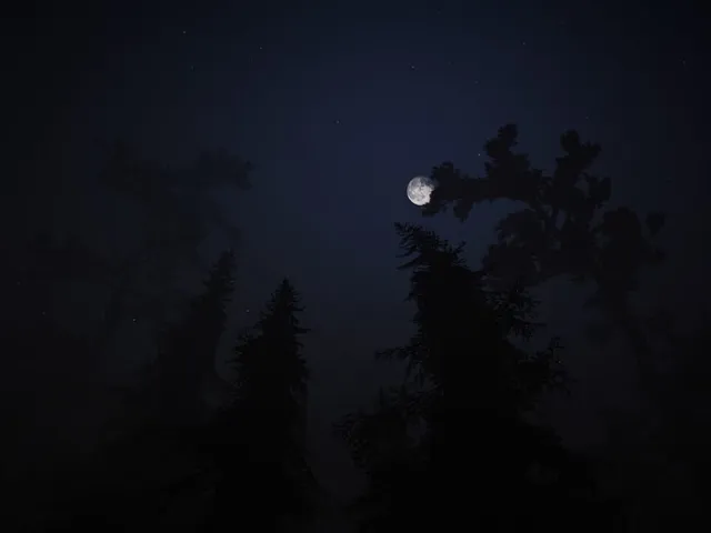 Taiga