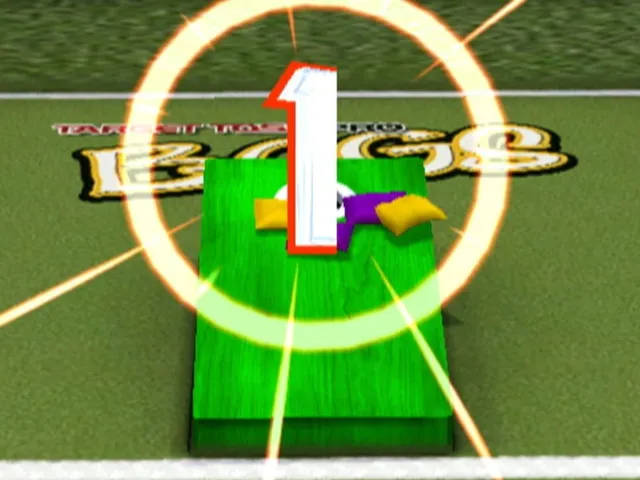 Target Toss Pro: Bags