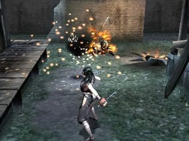 Tenchu: Fatal Shadows