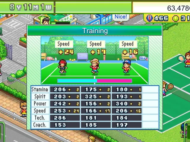 Tennis Club Story