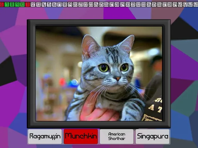 Test Your Knowledge: Cats