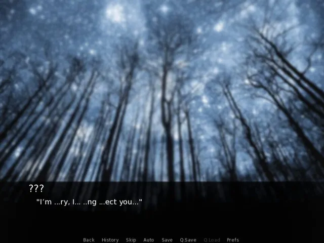 That One Celestial Night
