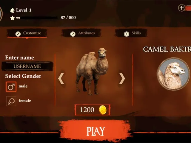The Camel