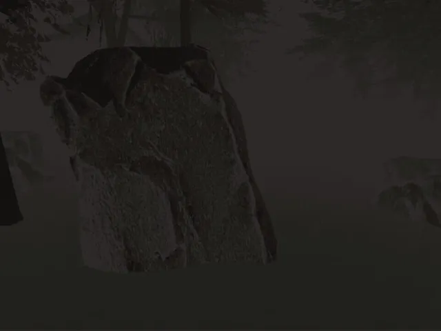 The Camp