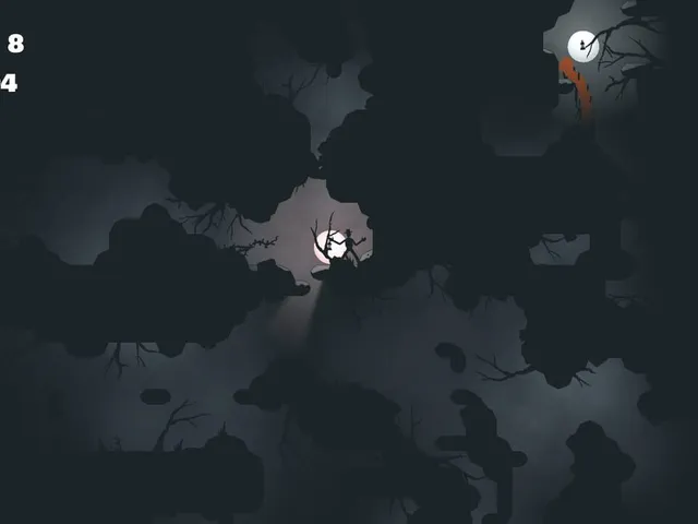 The Crevice