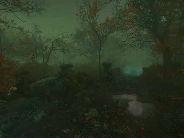 The Cursed Forest
