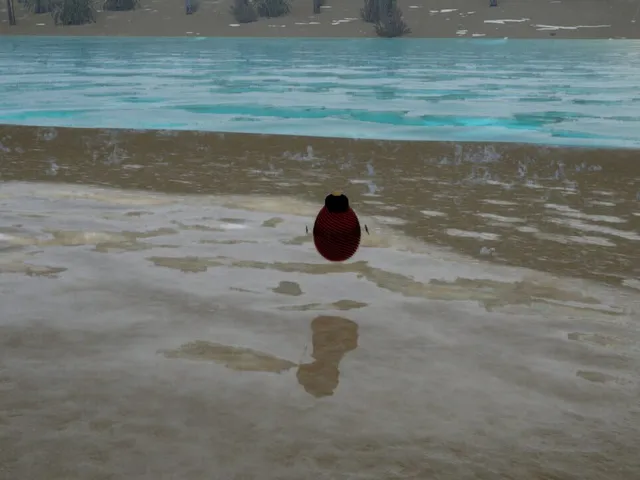 The Egg