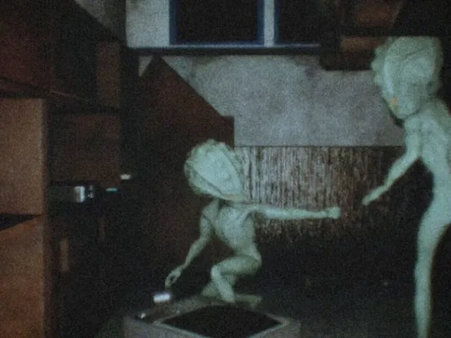 The Encounter
