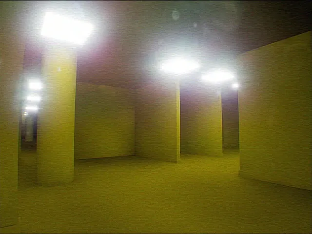 The Expansion