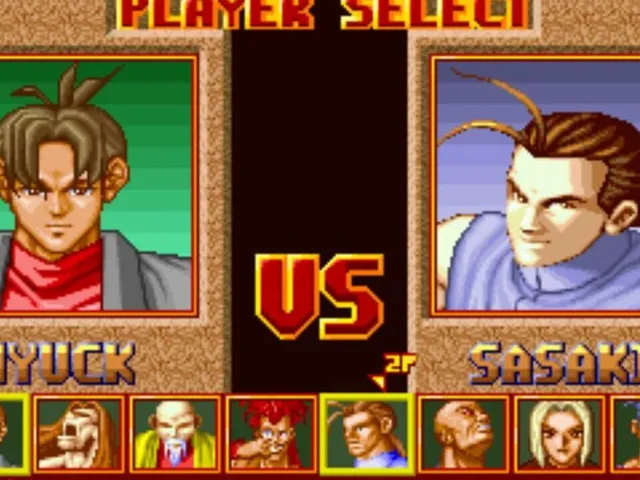 The Great Fighter