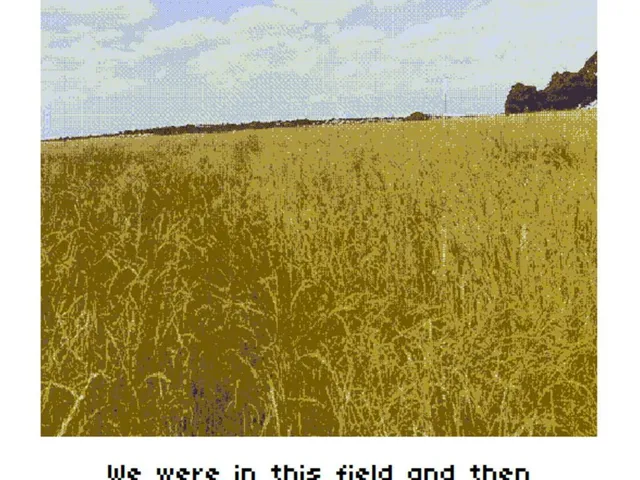 The Horizon