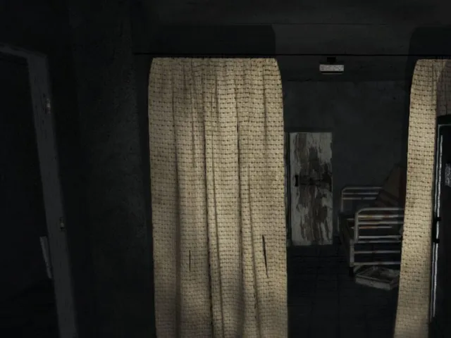 The Hospital: Allison's Diary
