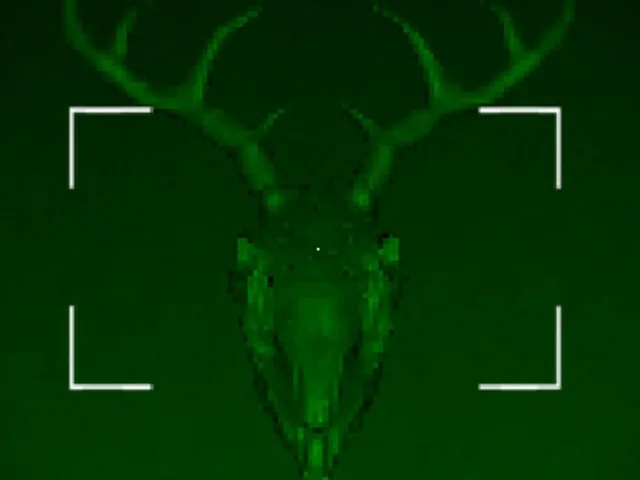 The Host