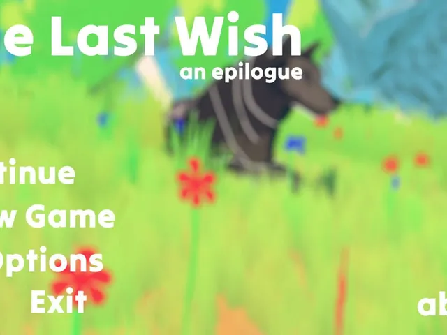 The Last Wish