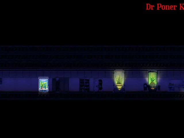 The Last Witness