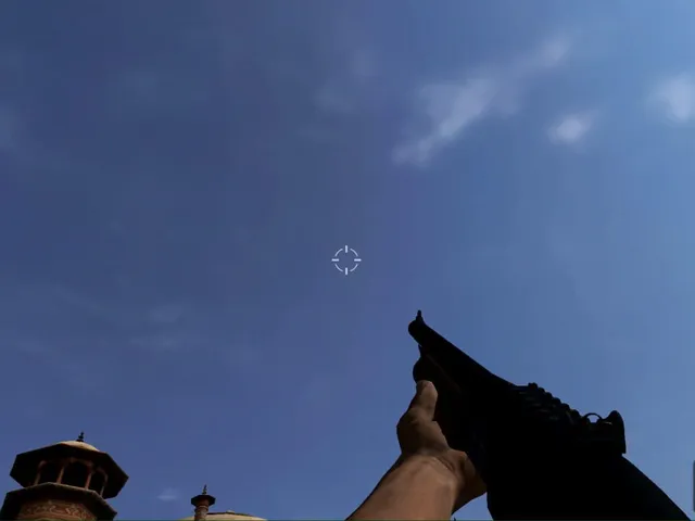 The Lone Soldier