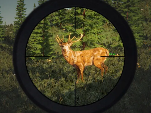 The Mountain Hunting