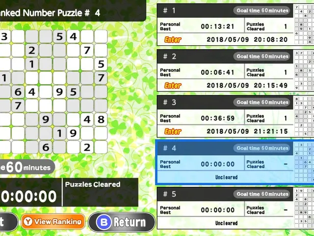 The Number Puzzle