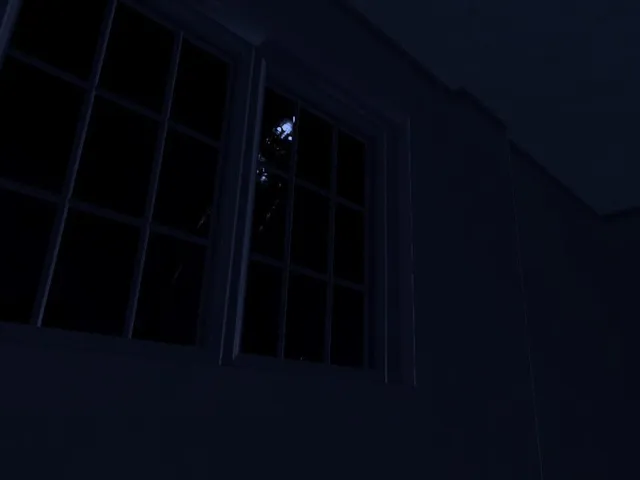 The Obsessive Shadow