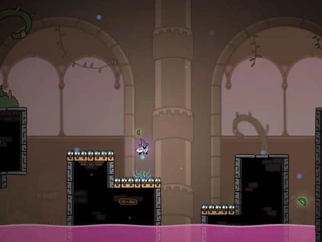The Pogo Witch