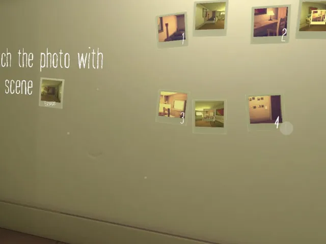 The Polaroid