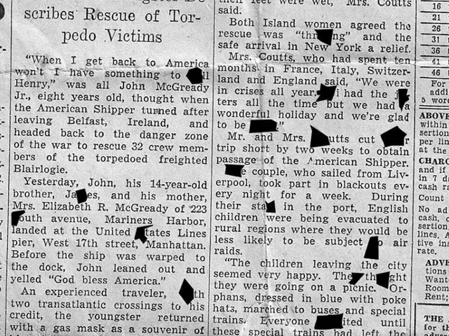 The Princess Case: A Royal Scoop