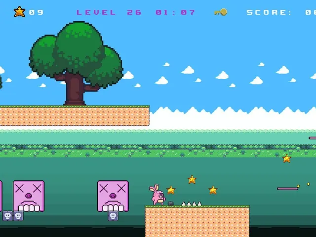 The Rabbit Crazy Adventure