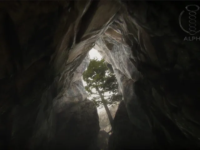 The Way