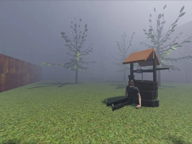 The Well