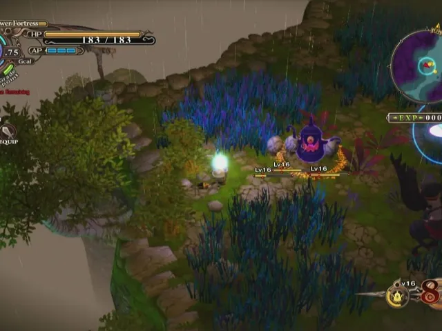 The Witch and the Hundred Knight