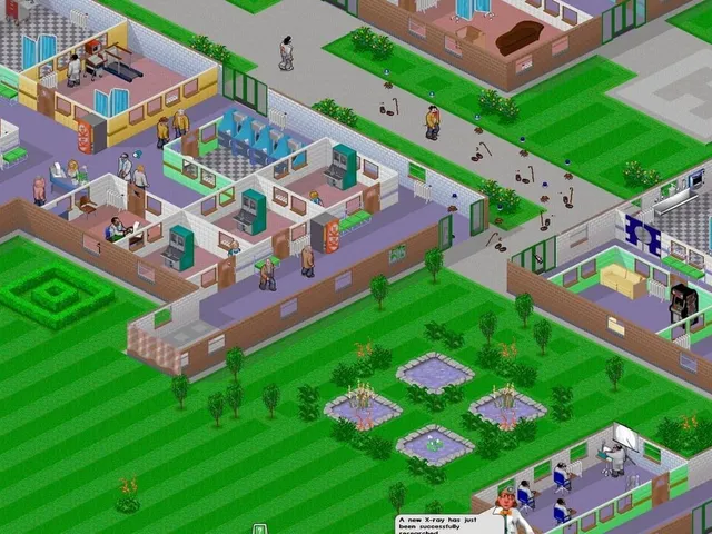 Theme Hospital
