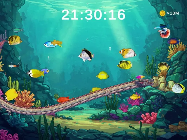 Touch Fish