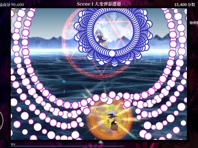 Touhou Iyuushou: What the Bullet Hell?!