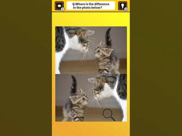 Train Your Brain! Spot the Difference with Cat Photos