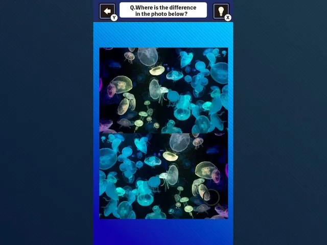 Train Your Brain! Spot the Difference With Fish Photos