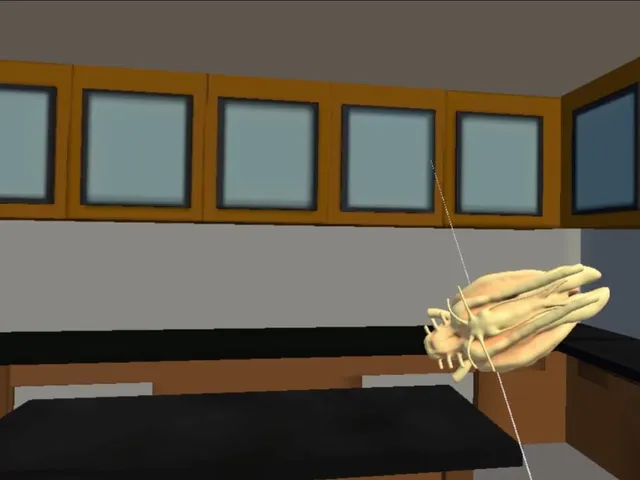 Training Lab