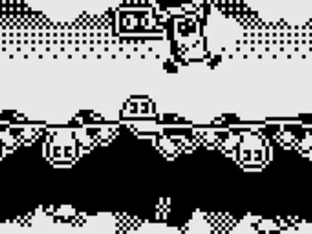 Turtle Bridge