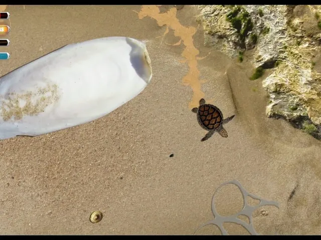 Turtle Quest