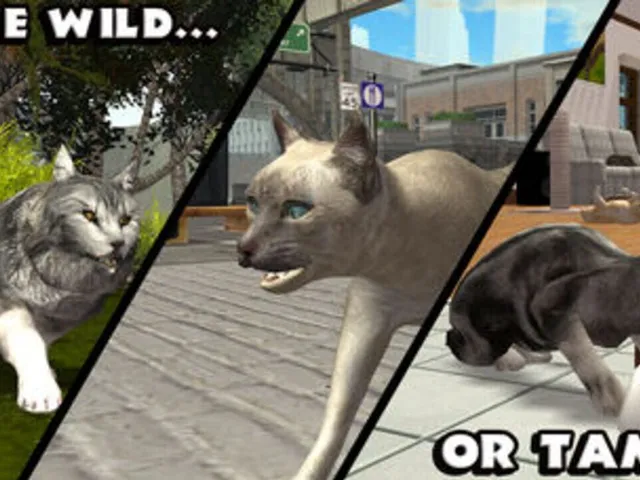 Ultimate Cat Simulator