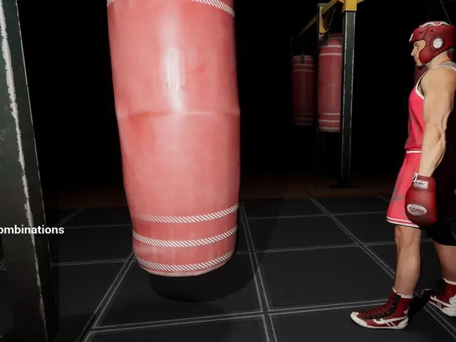 Ultimate Sparring