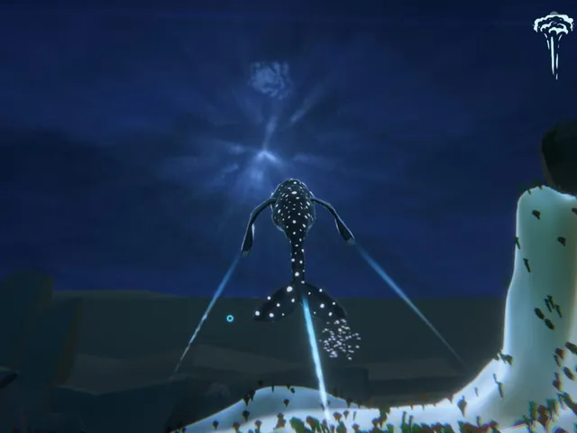 Vacuum Balaena