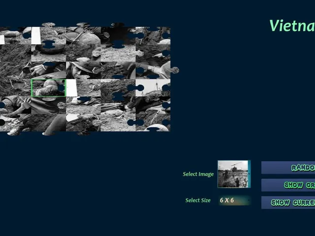 Vietnam War Puzzles