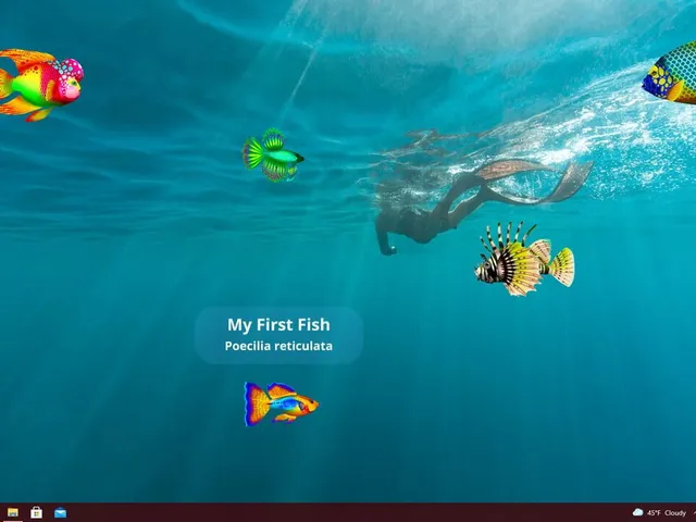 Virtual Aquarium