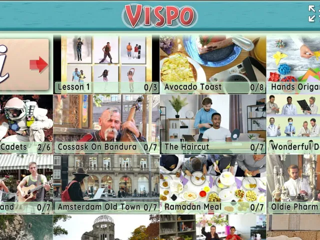Vispo: Video Spot the Difference