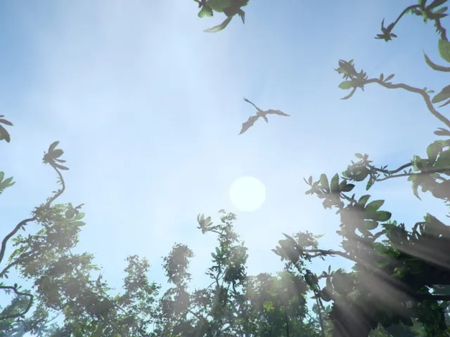 Vortex: The Gateway