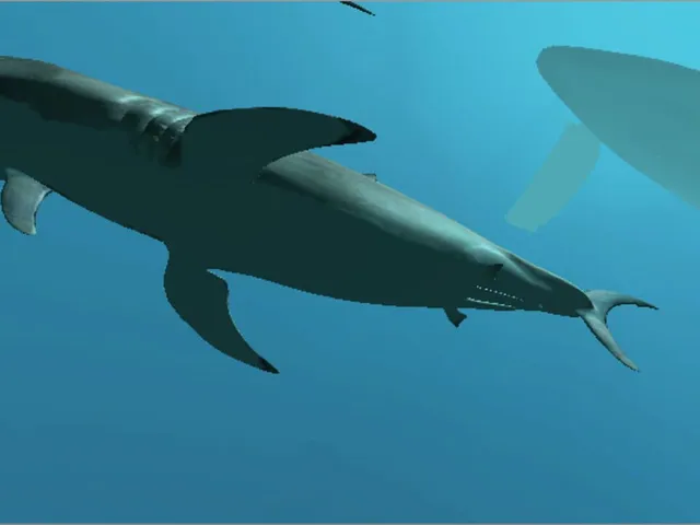 VR Shark