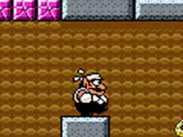 Wario Land 3