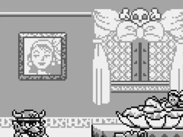 Wario Land: Super Mario Land 3