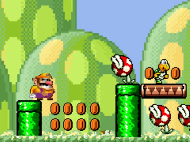 Wario's Revenge